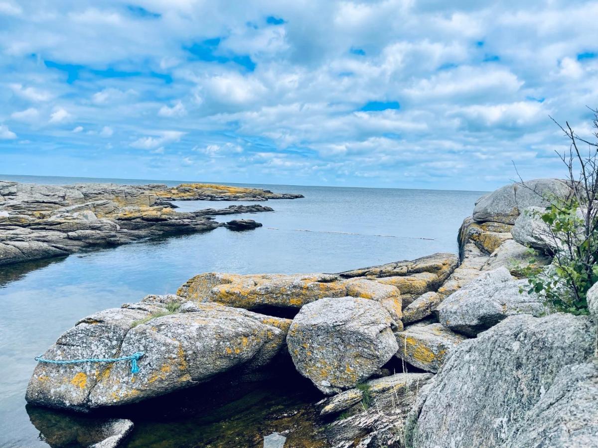 Nybygget Hus I Svaneke Taet Pa Klipper, Skov Og Hav Экстерьер фото